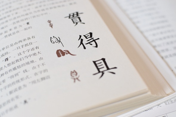 Chinese characters in a book to learn chinese